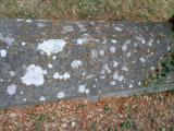 image of grave number 786256